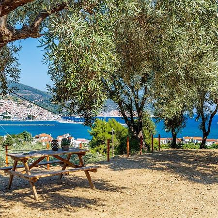 Olive Grove Apartment Skopelos Town Bagian luar foto