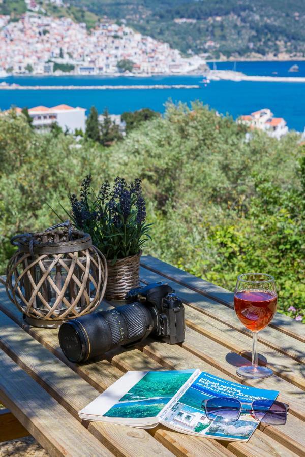 Olive Grove Apartment Skopelos Town Bagian luar foto