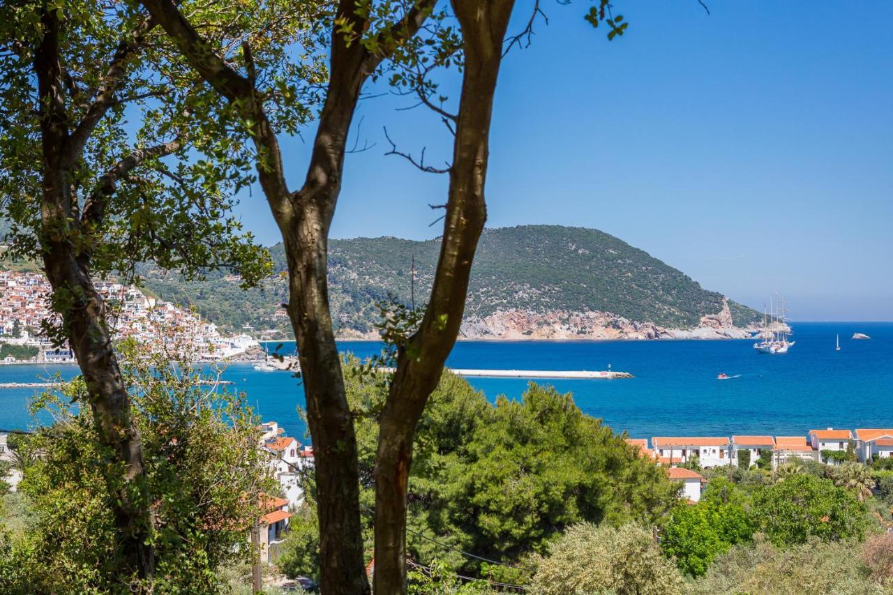 Olive Grove Apartment Skopelos Town Bagian luar foto
