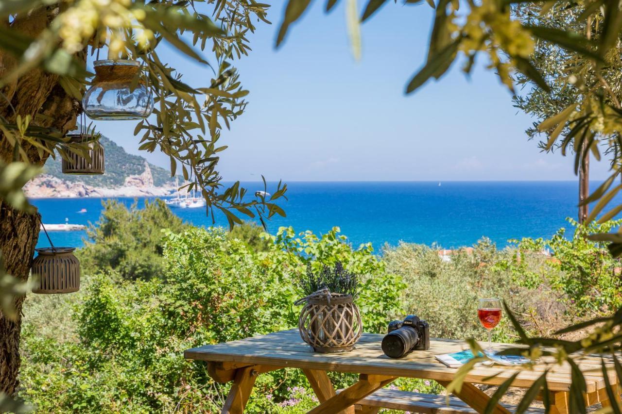 Olive Grove Apartment Skopelos Town Bagian luar foto