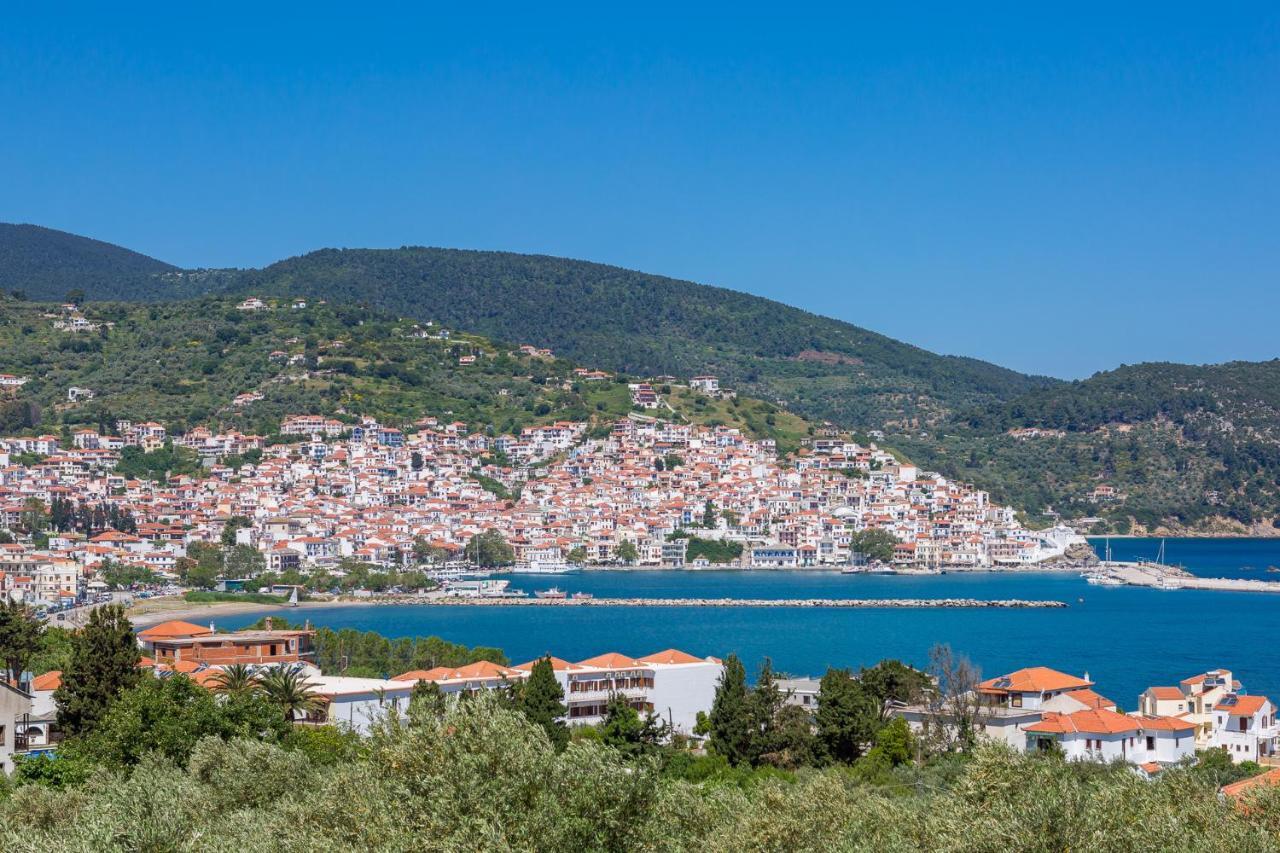 Olive Grove Apartment Skopelos Town Bagian luar foto